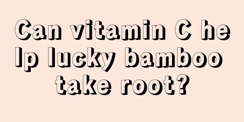 Can vitamin C help lucky bamboo take root?