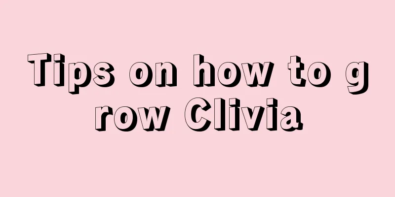 Tips on how to grow Clivia