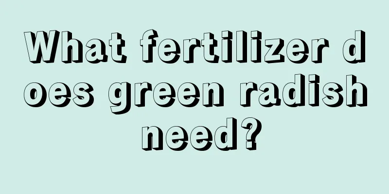 What fertilizer does green radish need?