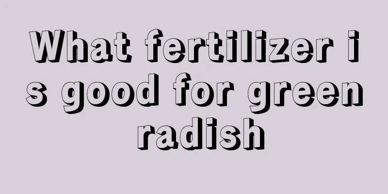 What fertilizer is good for green radish