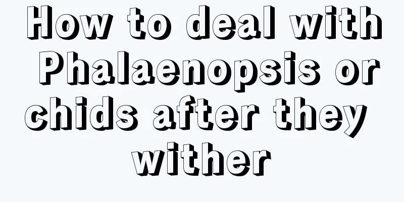 How to deal with Phalaenopsis orchids after they wither