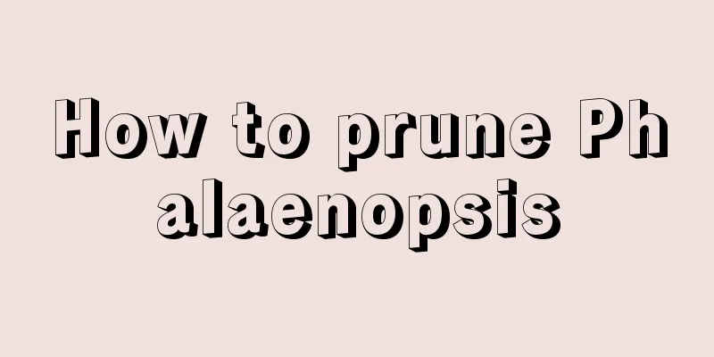 How to prune Phalaenopsis