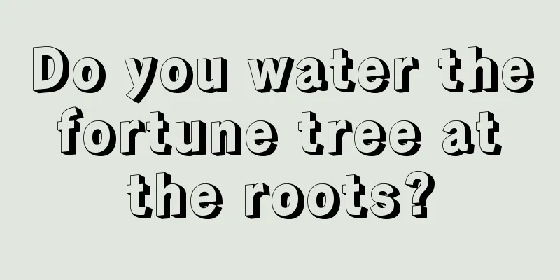 Do you water the fortune tree at the roots?