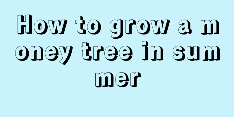 How to grow a money tree in summer