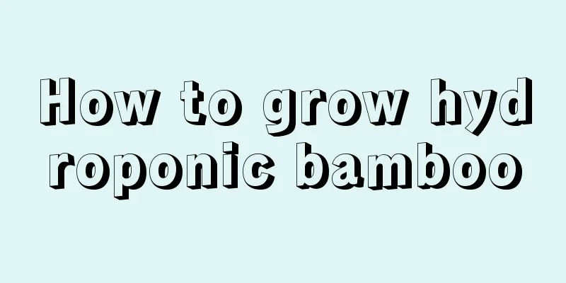 How to grow hydroponic bamboo