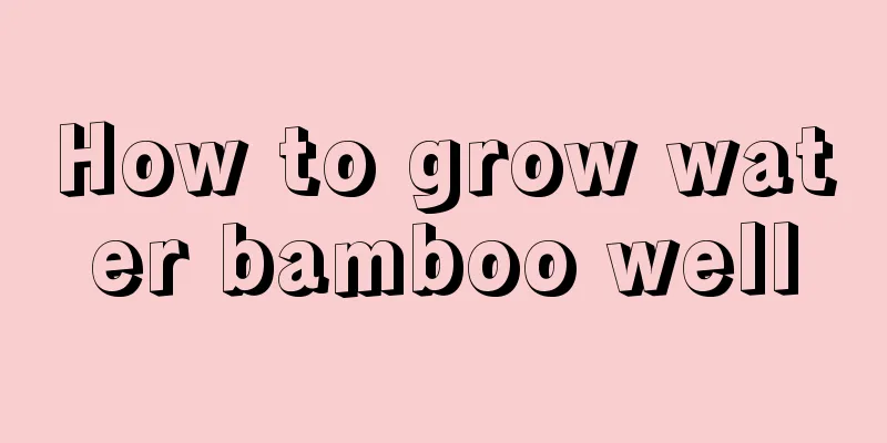 How to grow water bamboo well