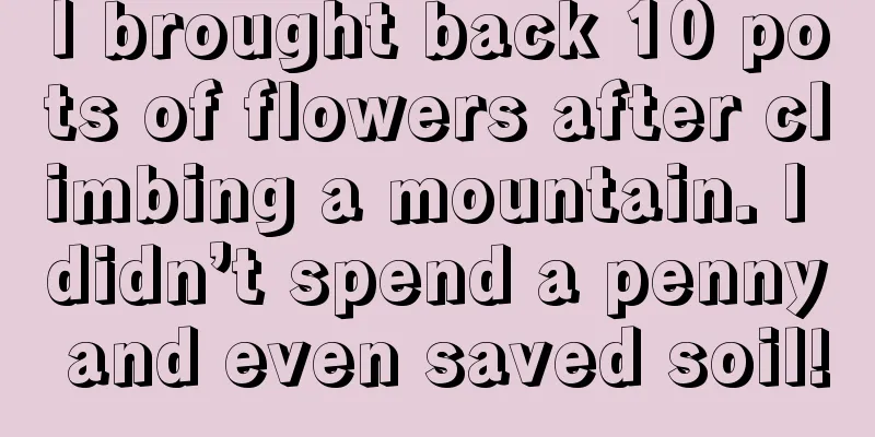 I brought back 10 pots of flowers after climbing a mountain. I didn’t spend a penny and even saved soil!