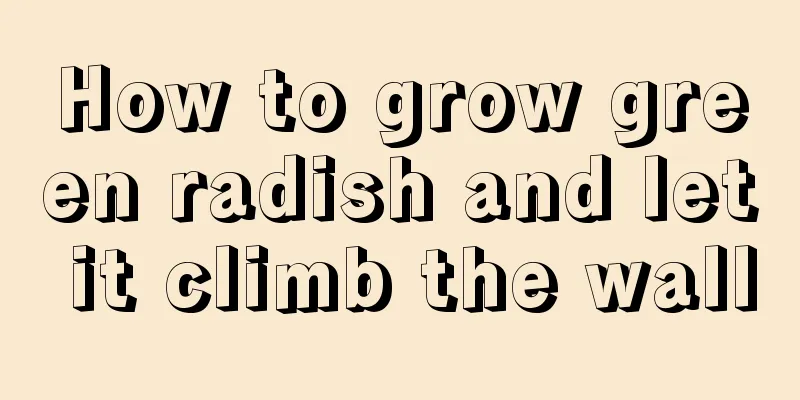 How to grow green radish and let it climb the wall