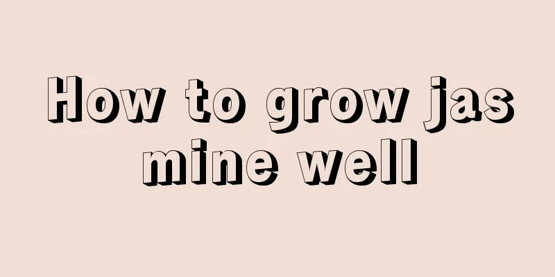 How to grow jasmine well