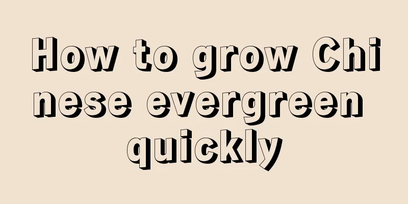 How to grow Chinese evergreen quickly