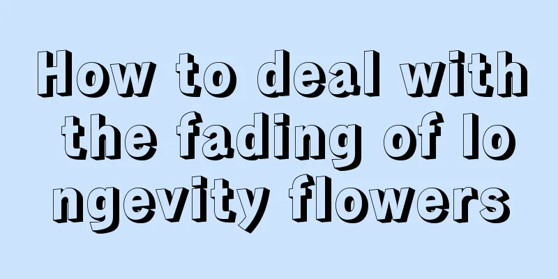 How to deal with the fading of longevity flowers