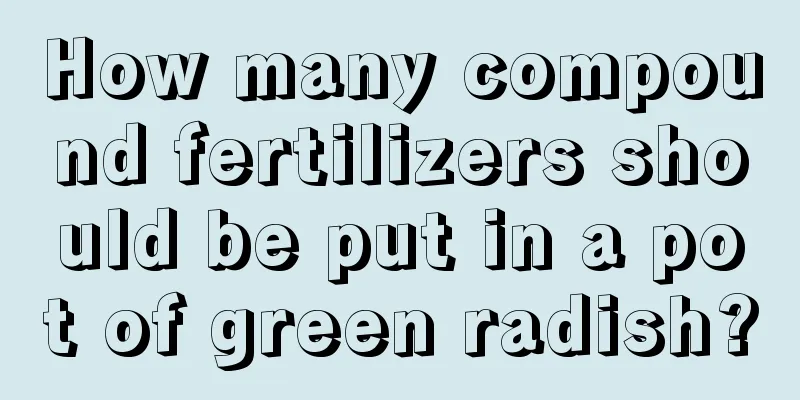 How many compound fertilizers should be put in a pot of green radish?