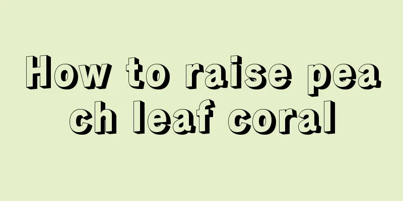 How to raise peach leaf coral