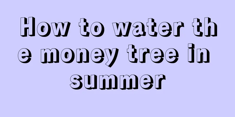 How to water the money tree in summer