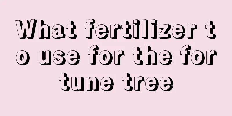 What fertilizer to use for the fortune tree