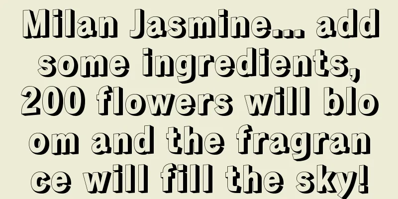 Milan Jasmine... add some ingredients, 200 flowers will bloom and the fragrance will fill the sky!