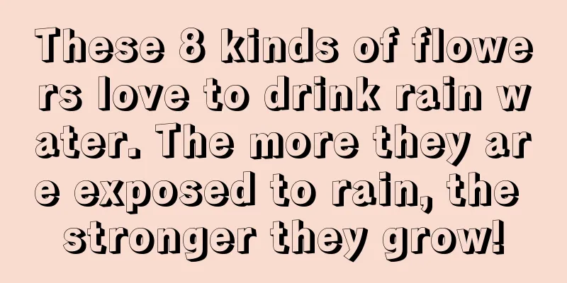 These 8 kinds of flowers love to drink rain water. The more they are exposed to rain, the stronger they grow!