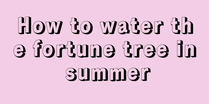 How to water the fortune tree in summer