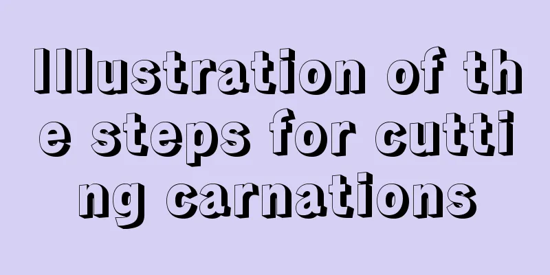 Illustration of the steps for cutting carnations