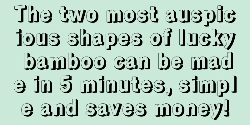 The two most auspicious shapes of lucky bamboo can be made in 5 minutes, simple and saves money!