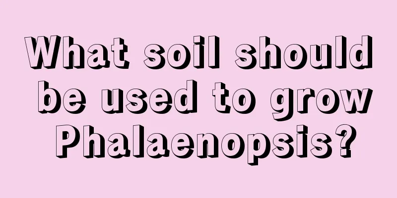 What soil should be used to grow Phalaenopsis?