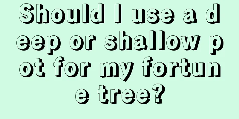 Should I use a deep or shallow pot for my fortune tree?