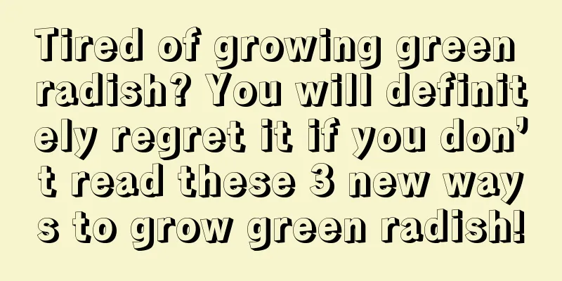 Tired of growing green radish? You will definitely regret it if you don’t read these 3 new ways to grow green radish!