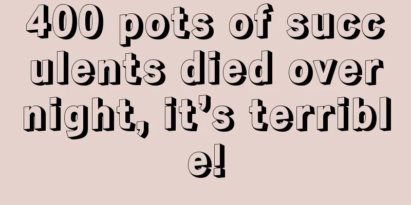 400 pots of succulents died overnight, it’s terrible!