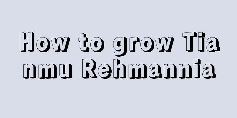 How to grow Tianmu Rehmannia