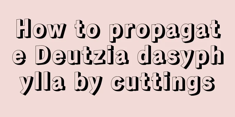 How to propagate Deutzia dasyphylla by cuttings