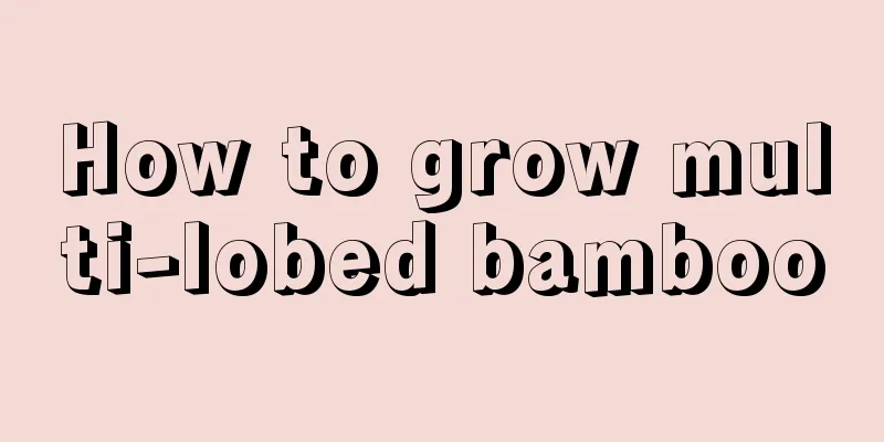 How to grow multi-lobed bamboo