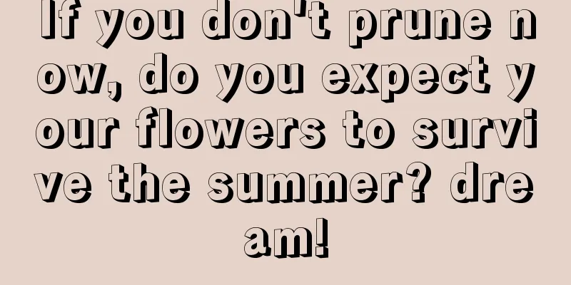 If you don't prune now, do you expect your flowers to survive the summer? dream!