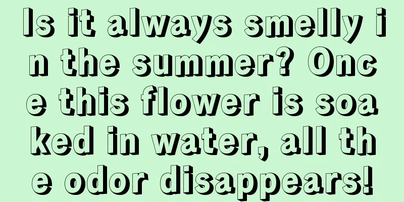 Is it always smelly in the summer? Once this flower is soaked in water, all the odor disappears!