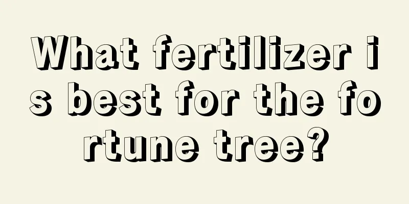 What fertilizer is best for the fortune tree?