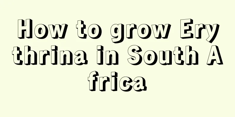 How to grow Erythrina in South Africa