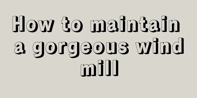 How to maintain a gorgeous windmill