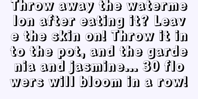 Throw away the watermelon after eating it? Leave the skin on! Throw it into the pot, and the gardenia and jasmine... 30 flowers will bloom in a row!