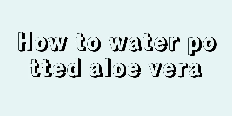 How to water potted aloe vera