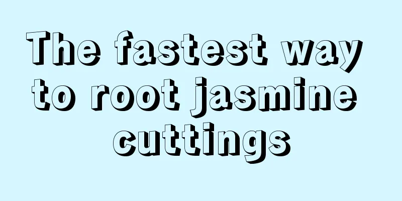 The fastest way to root jasmine cuttings