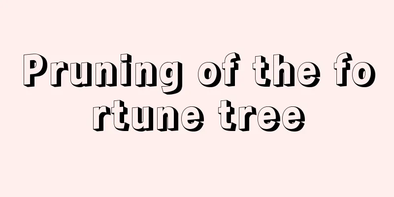 Pruning of the fortune tree