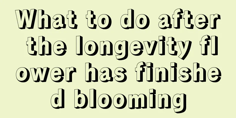 What to do after the longevity flower has finished blooming