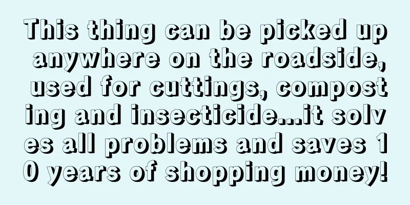 This thing can be picked up anywhere on the roadside, used for cuttings, composting and insecticide...it solves all problems and saves 10 years of shopping money!