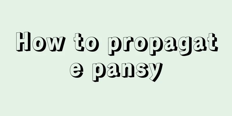 How to propagate pansy