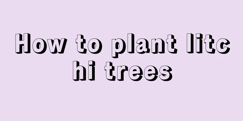 How to plant litchi trees