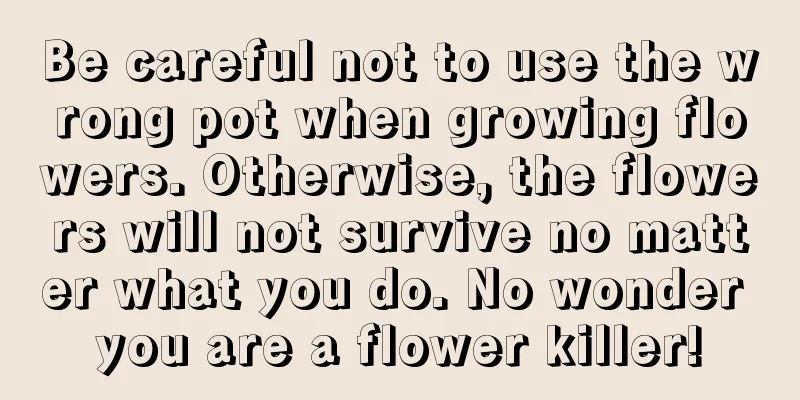 Be careful not to use the wrong pot when growing flowers. Otherwise, the flowers will not survive no matter what you do. No wonder you are a flower killer!