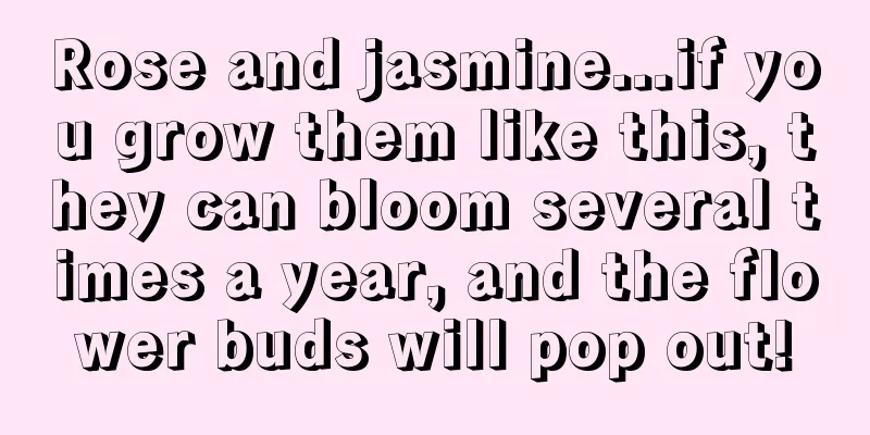 Rose and jasmine...if you grow them like this, they can bloom several times a year, and the flower buds will pop out!