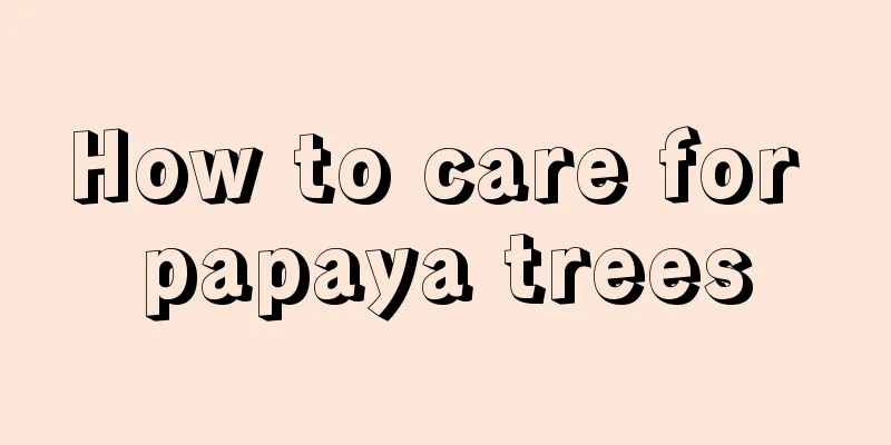 How to care for papaya trees