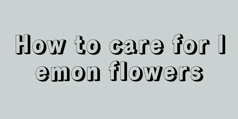 How to care for lemon flowers