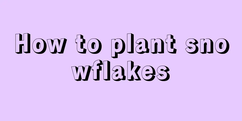 How to plant snowflakes