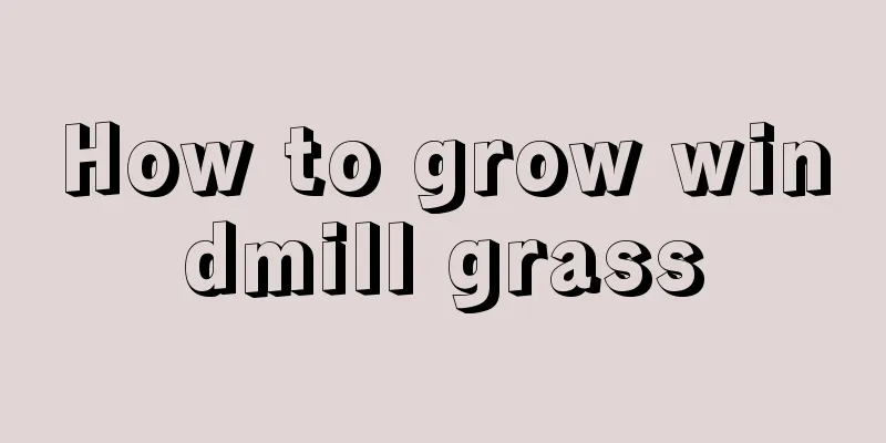 How to grow windmill grass